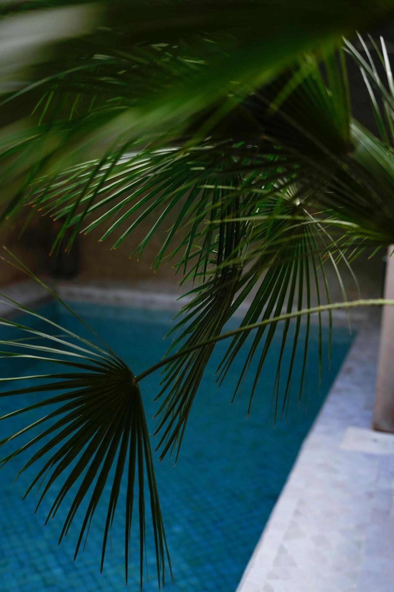 Riad Al Massarah Marrakesh Esterno foto